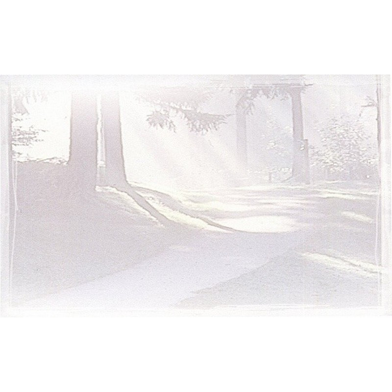 Carte remerciement décès sous-bois en filigrane avec rayons du soleil Buromac 641.049