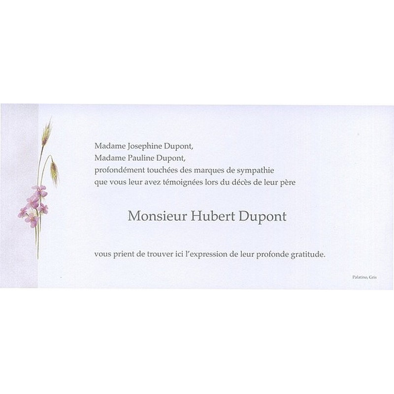 Carte remerciement décès fleurs roses et épis de blé avec ajout possible photo Buromac 644.008