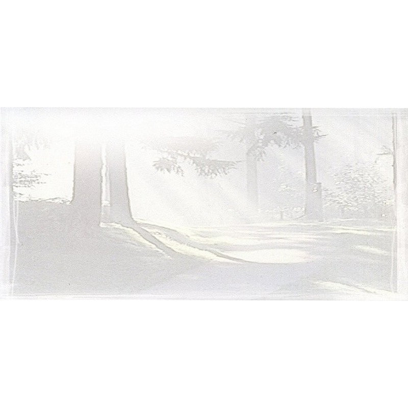 Carte remerciement décès sous-bois en filigrane avec rayons du soleil Buromac 644.049