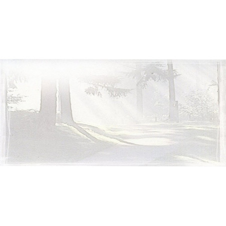 Carte remerciement décès sous-bois en filigrane avec rayons du soleil Buromac 644.049 Carte remerciement décès sous-bois en filigrane avec rayons du soleil Buromac 644.049
