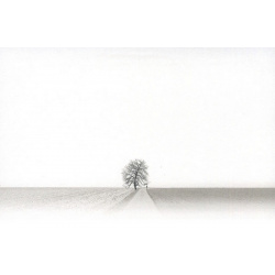 Carte remerciement décès route campagne avec arbre et champ labouré Decorte 6515