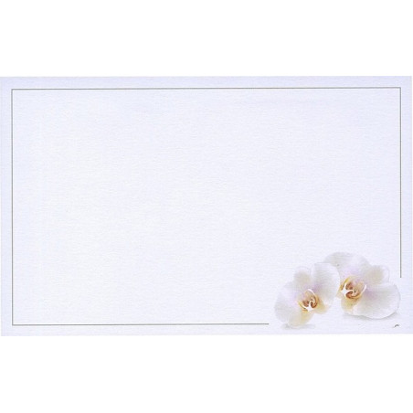 Carte remerciement décès orchidées blanches et liseré gris Buromac 670.128