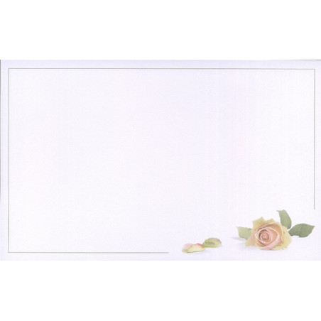 Carte remerciement décès rose pastel avec pétales et liseré gris (ajout possible d'une photo) Buromac 641.134 Carte remerciement décès rose pastel avec pétales et liseré gris (ajout possible d'une photo) Buromac 641.134