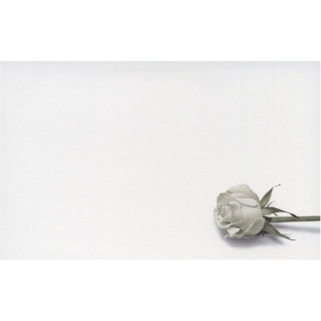 Carte remerciement décès rose blanche et tige verte Decorte 6552 Carte remerciement décès rose blanche et tige verte Decorte 6552