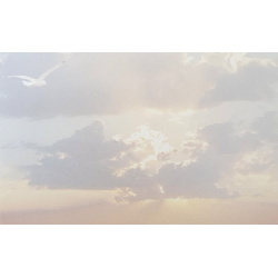 Carte remerciement décès mouette en vol et lumière du soleil derrière des nuages en filigrane Decorte 6514