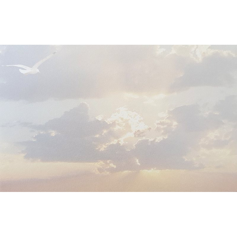 Carte remerciement décès mouette en vol et lumière du soleil derrière des nuages en filigrane Decorte 6514