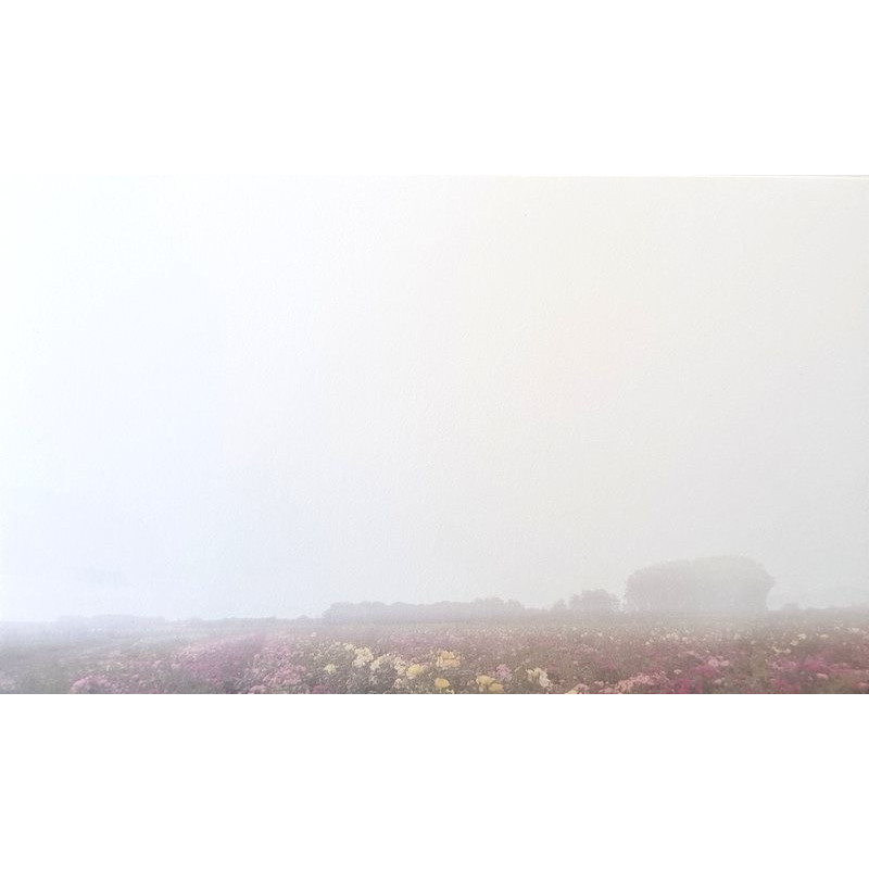 Carte remerciement décès champ fleurs et bosquet en filigrane Decorte 6455