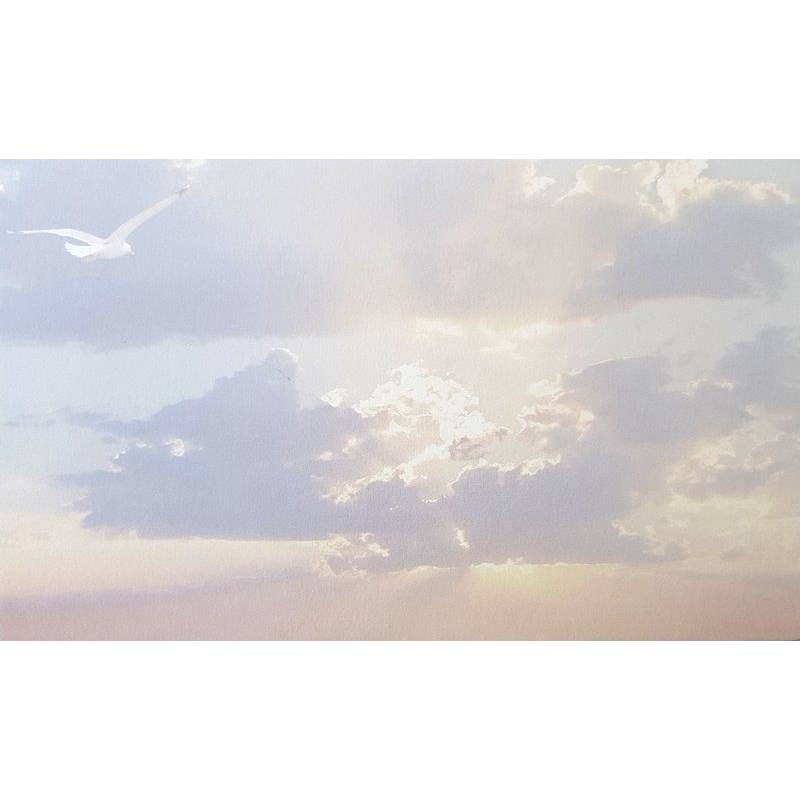 Carte remerciement décès mouette en vol et lumière du soleil derrière des nuages en filigrane Decorte 6422