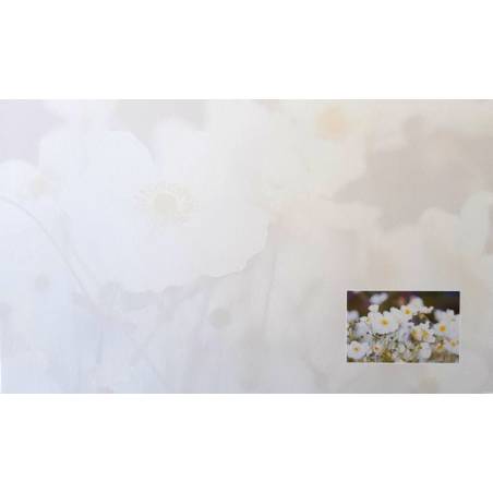 Carte remerciement décès myosotis blancs dans un cadre et en filigrane Decorte 6443 Carte remerciement décès myosotis blancs dans un cadre et en filigrane Decorte 6443