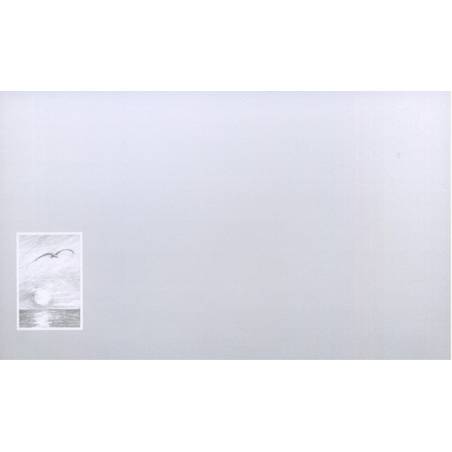Carte remerciement décès dessin au crayon à papier coucher de soleil au-dessus de l'océan avec mouette en vol Decorte 6485 Carte remerciement décès dessin au crayon à papier coucher de soleil au-dessus de l'océan avec mouette en vol Decorte 6485