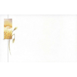 Carte remerciement décès coucher de soleil sur champ de blé et épis de blé Buromac 641.064